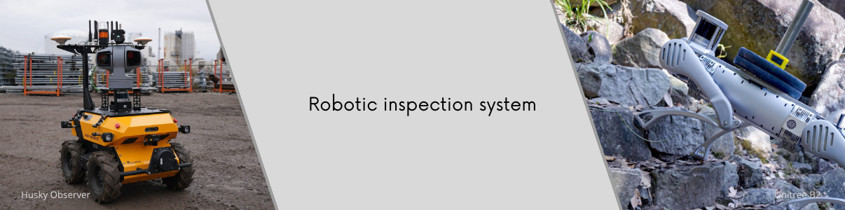 Robotic inspection system