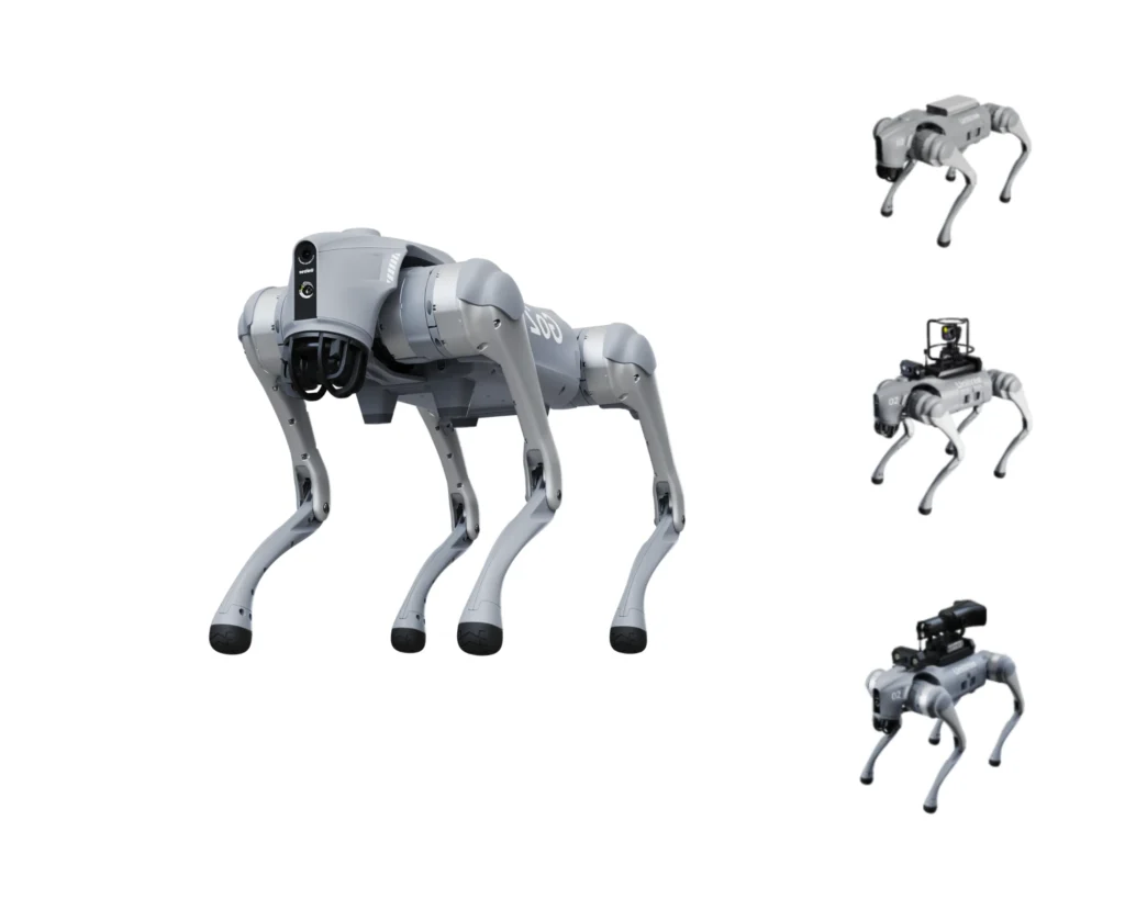 Robot kroczący Unitree Go2 Ent